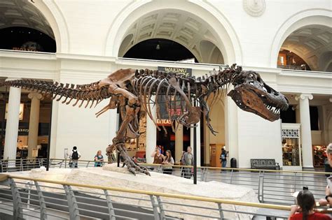 dinosaur museum america|9 of America’s Top Dinosaur Museums & Attractions .